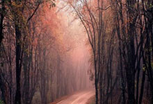 浙江杭州：奋勇拼搏争“上游” “乒乓小将”展风采.