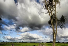 C7娱乐：世預賽南美區第17輪阿根廷3-0委內瑞拉 梅西破門迪馬利亞替補傳射建功.