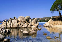 C7娱乐:赏冰乐雪氛围好!亚冬会带动群众冰雪运动热情 冰雪热更上一层楼央视网.